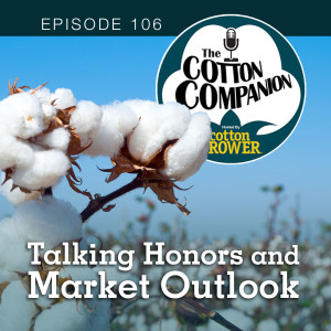 Talking Honors and Market Outlook