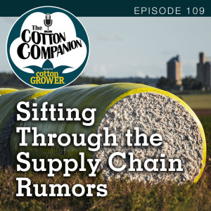 Sifting Through the Supply Chain Rumors