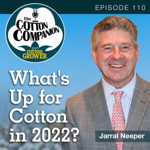 What’s Up for Cotton in 2022?