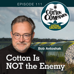 Cotton Is NOT the Enemy