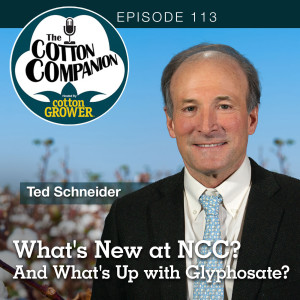 What’s New at NCC? And What’s Up with Glyphosate?