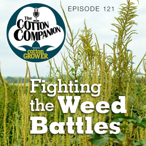 Fighting the Weed Battles