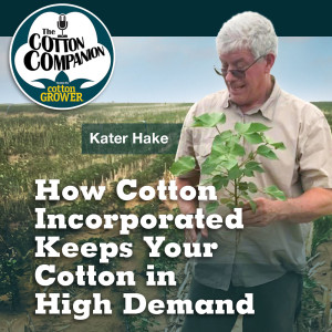 How Cotton Incorporated Keeps Your Cotton in High Demand