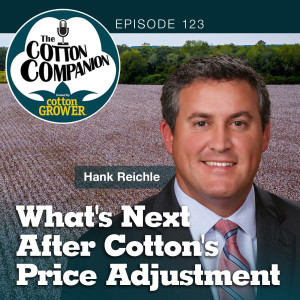 What’s Next After Cotton’s Price Adjustment