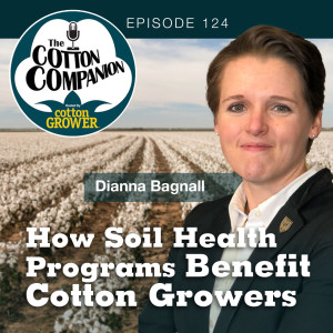 How Soil Health Programs Benefit Cotton Growers