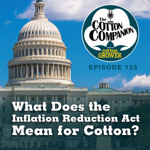What Does the Inflation Reduction Act Mean for Cotton?