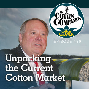 Unpacking the Current Cotton Market