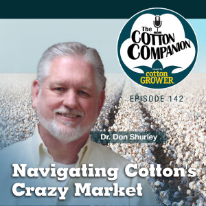 Navigating Cotton’s Crazy Market