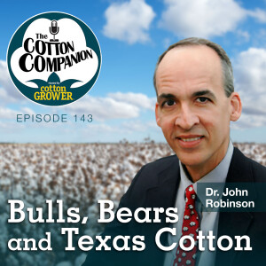 Bulls, Bears and Texas Cotton