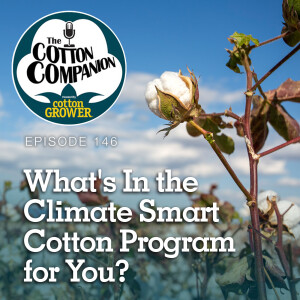 What’s In the Climate Smart Cotton Program for You?