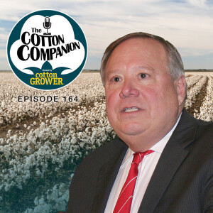Riding Cotton's Price Roller Coaster - Again