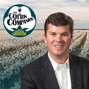How Are Tariffs Impacting Cotton Movement and Trade?