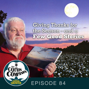 Giving Thanks for the Season - and a Few Good Stories