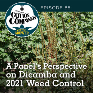 A Panel's Perspective on Dicamba and 2021 Weed Control