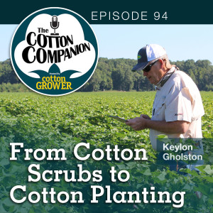 From Cotton Scrubs to Cotton Planting