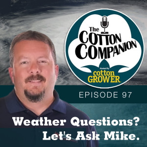 Weather Questions? Let's Ask Mike.