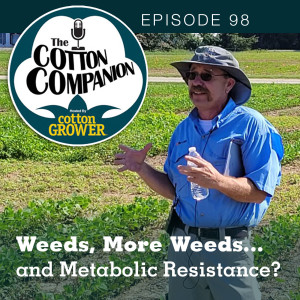 Weeds, More Weeds...and Metabolic Resistance?