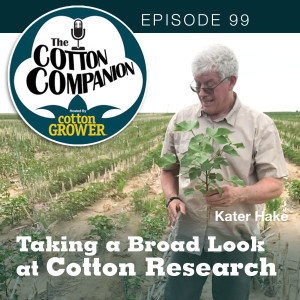 Taking a Broad Look at Cotton Research