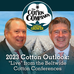 2023 Cotton Outlook: ”Live” from the Beltwide Cotton Conferences