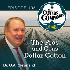 The Pros - and Cons - of Dollar Cotton