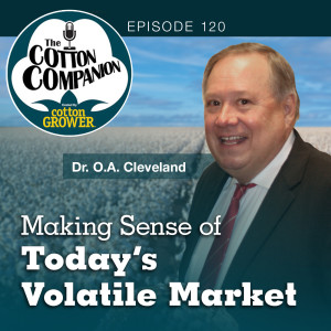 Making Sense of Today’s Volatile Market