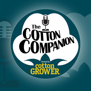 Cotton Companion Episode 1