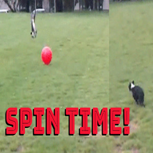 Spin Time! - JARCAST Episode 178