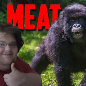 GORILLA City Citizen (Our Response)