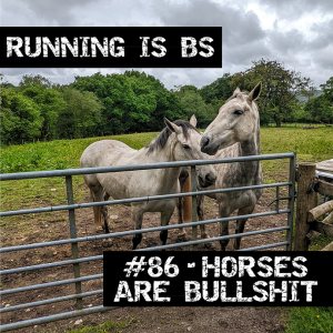 #86 - Horses are Bullshit