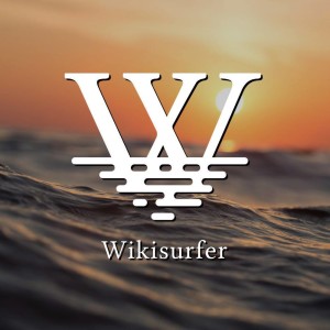 Wikisurfer Series One Survey Announcement