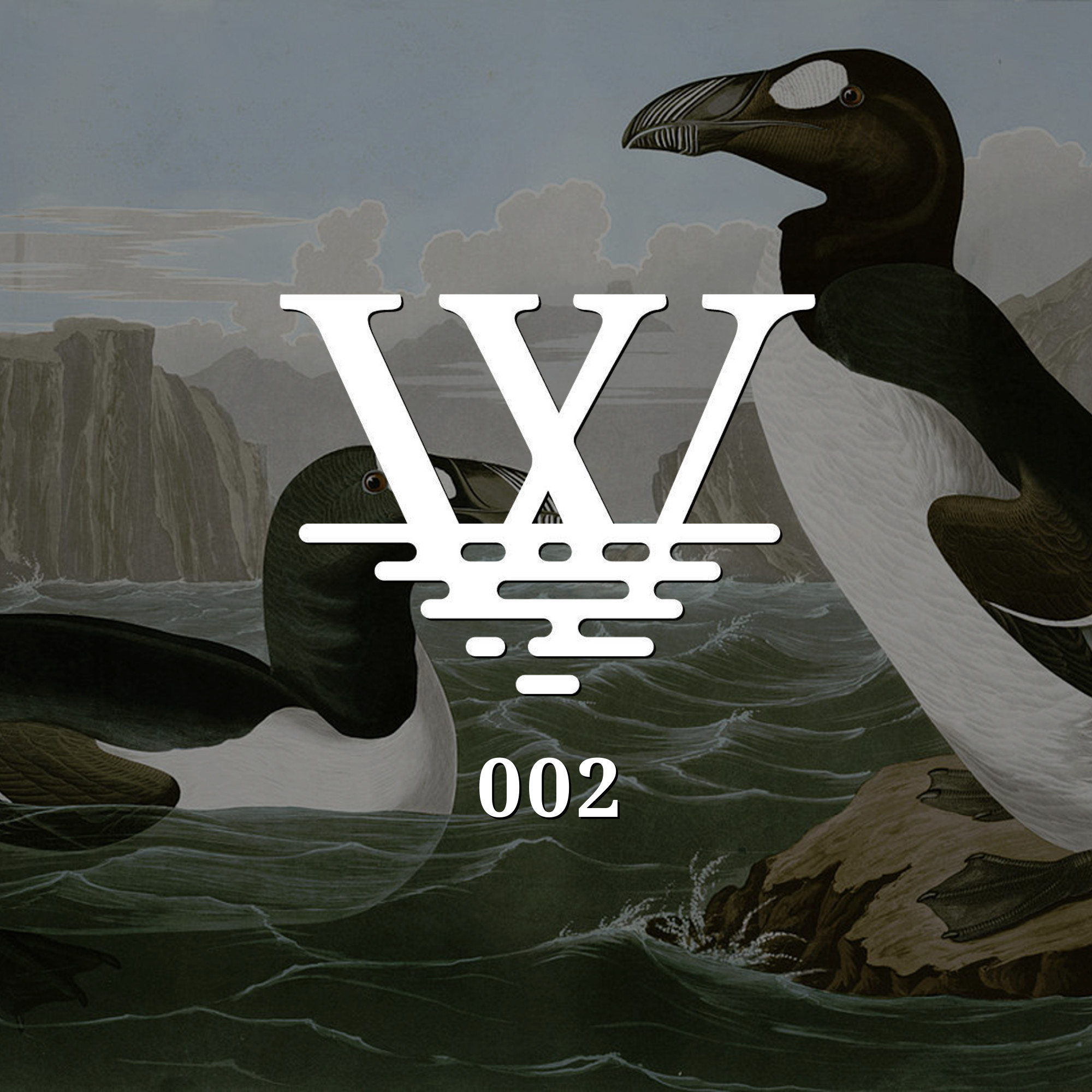 Wikisurfer 002 - Last Of Their Kind