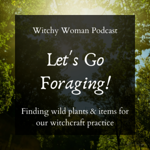Let's Go Foraging -Plants And Items for Witchcraft