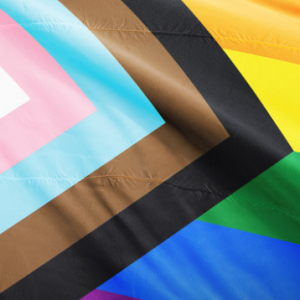 #PrideMonth2023: LGBTQ+ DEIA - the current scholarly communications landscape