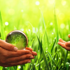 A green revolution – discover the companies pioneering sustainability in marketing