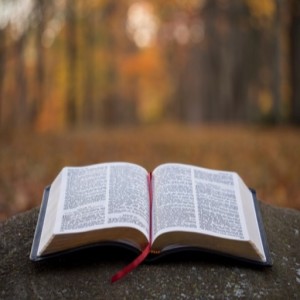 The Miracles Of Jesus Christ