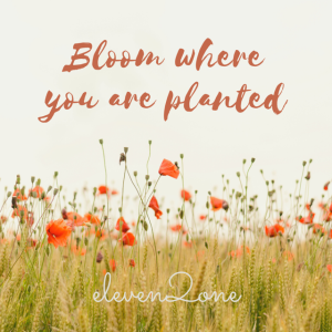 Eleven2One - Spring Sharathon 2021 - Wednesday Part 2