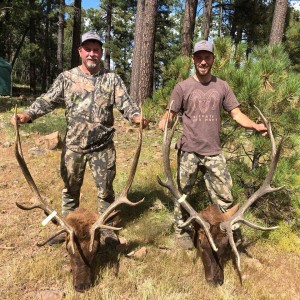 New Mexico Elk Hunting Ft. THE ILLNESS OUTDOORS