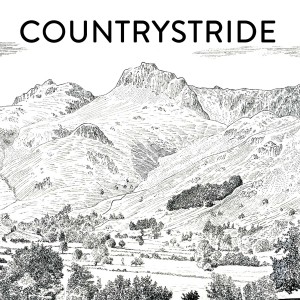 Countrystride #11: High Stile – and the Buttermere skyline