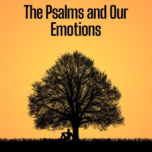 Feeling Happy -Psalm 1