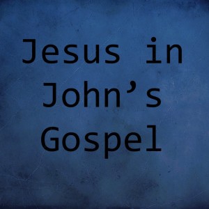 Jesus in John's Gospel - John 6 Part 3
