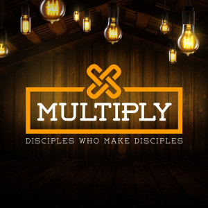 Multiply: Seek & Point