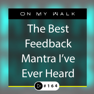 #164 - The Best Feedback Mantra I've Ever Heard