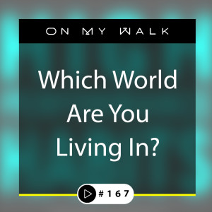 #167 - Which World Are You Living In?
