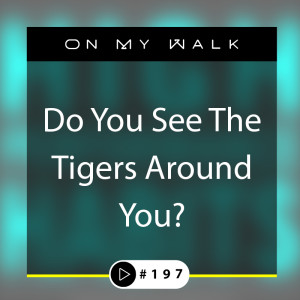 #197 - Do You See The Tigers Around You?