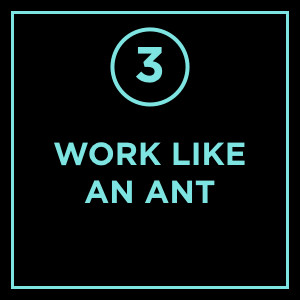 #003 - Work Like An Ant