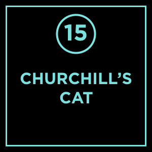 #015 - Churchill's Cat