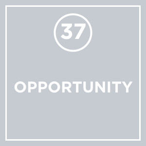 #037 - Opportunity