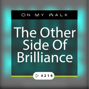 #216 - The Other Side of Brilliance