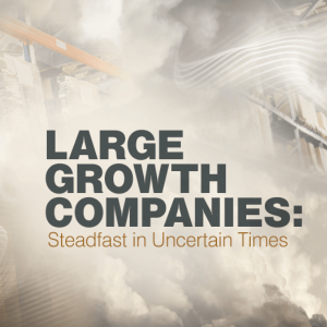 Large Growth Companies: Steadfast in Uncertain Times