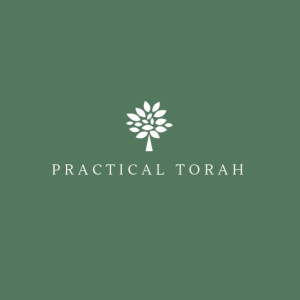 Practical Torah Episode 8: Jacob's Ladder Genesis 28:10-29:30